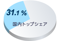 31.1% 国内シェア