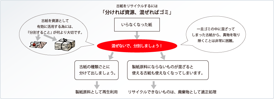 古紙の分別